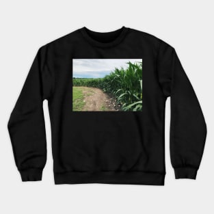 Iowa Cornfields Early Summer Crewneck Sweatshirt